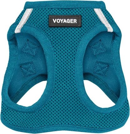 Best Pet Supplies Voyager Step-in Air Harness - All Weather Mesh, Reflective, No Pull Harness for Dogs, Cats - Secure with Hook & Loop Fastener, Buckle, Double D-Rings - Turquoise, XXS