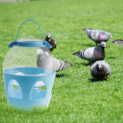 Pigeon Water Dispenser Feeder, 2L Water Pot Container with Handle for Pigeon Chicken Parrot Duck Poultry (Colors May Vary)
