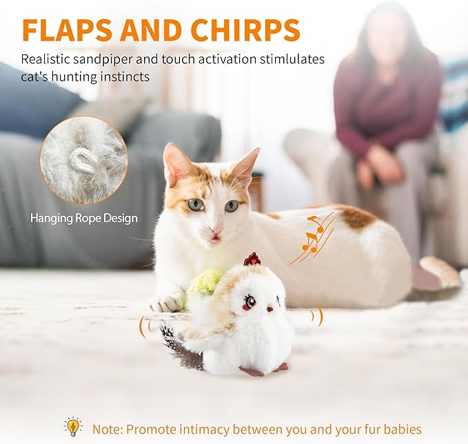 Gigwi Flappy Bird Cat Toy For Indoor Cats, Rechargeable Lifelike Sandpiper Interactive Flapping Bird Cat Toy Tweet, Flapping Wings & Lively Chirping, Catnip Toys For Kitten, Touch Activated (Princess)