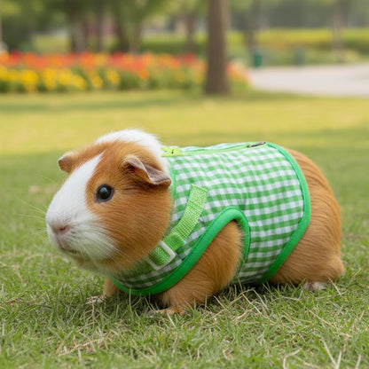 Guinea Pig Harness and Leash,Adjustable Guinea Pig Harness,Elastic Guineas Pigs Leash and Harnes,Ideal for Pet Hamster Squirrel Animals & Safe Pet Supervision(Green Plaid)