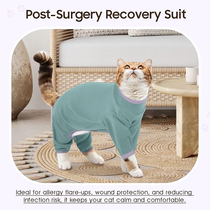DENTRUN Cat Clothes for Hair Control with Hair Sticky Fabric - Soft Recovery Suit & Breathable Lint-Resistant Cat Sweater for Cats Only, Kitten Onesie Pajamas, L, Bean Green