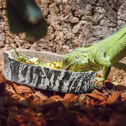 Small Reptile Food Dish 2 Packs Reptile Feeding Food Bowl Novelty Foods Bowl Lizard Reptile Water Bowls Dish Gecko Lizard Spider Scorpion Chameleon