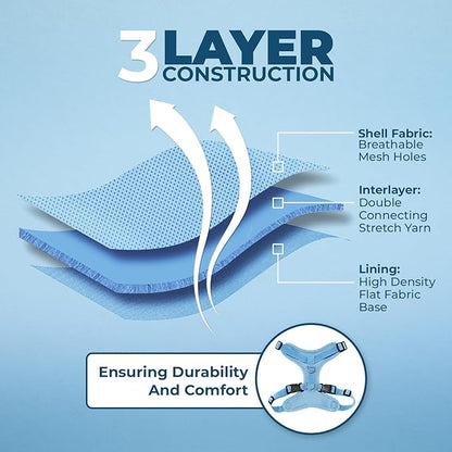 Voyager Step-in Lock Adjustable Cat Harness w. Cat Leash Combo Set with Neoprene Handle 5ft - Supports Small, Medium and Large Breed Cats by Best Pet Supplies - Baby Blue, S