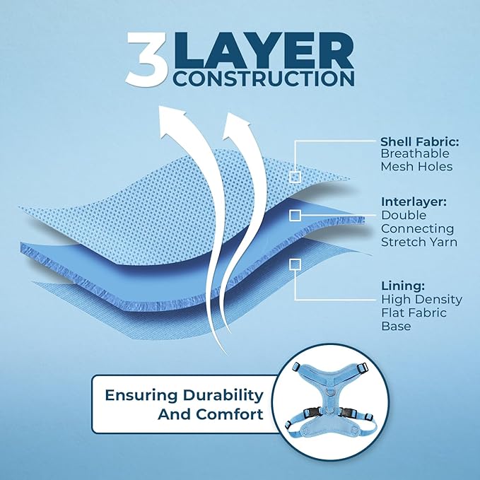 Voyager Step-in Lock Adjustable Cat Harness w. Cat Leash Combo Set with Neoprene Handle 5ft - Supports Small, Medium and Large Breed Cats by Best Pet Supplies - Baby Blue, XXS