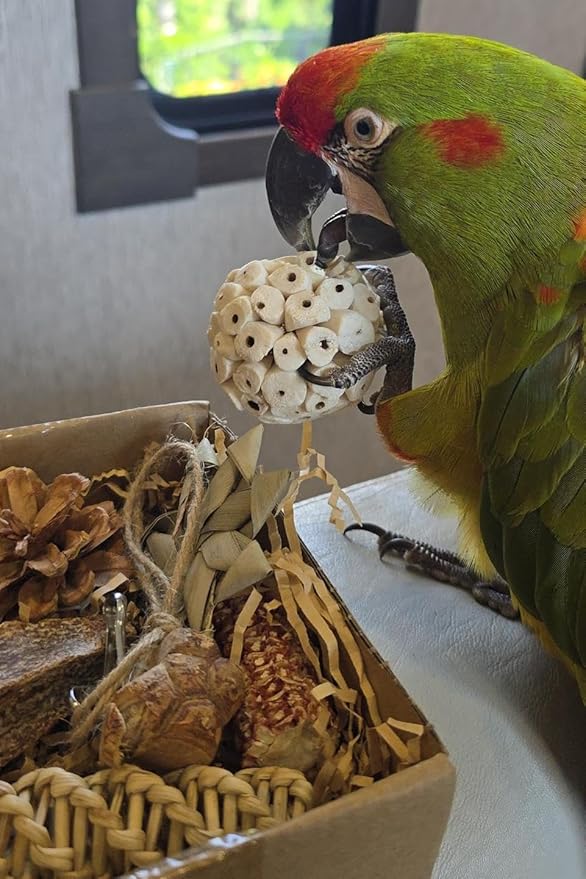 2 in 1 Parrot Toys, Tyotrbs Parakeet Foraging Box DIY Hanging String with Comes with 2 Hooks Bird Toy for Parakeets,Cockatiels,Conures,Love Birds Cage Accessories for Small to Medium Birds