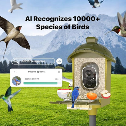 Smart Bird Feeder with Camera, Bird Feeder Camera 2K HD Record Video Live View with Solar Panel, AI Identify Species Auto Capture, Instant Arrival Alerts, Gift for Birds Lover