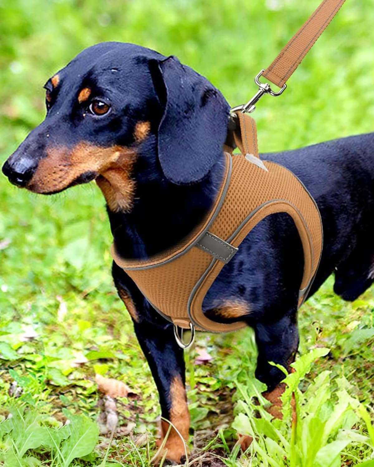 Joytale Small Dog Harness, Breathable Mesh Step-in Vest, Reflective Soft Padded Harnesses for Small and Medium Dogs, Brown, M