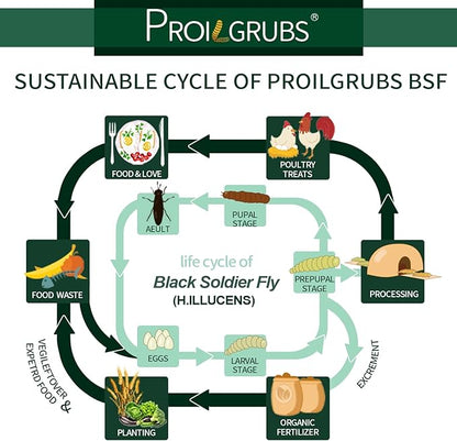 PROILGRUBS 30 LBS All Natural Black Soldier Fly Larvae Treats - Non-GMO Dried Grubs for Chickens, Hens, Birds - Meal Worms