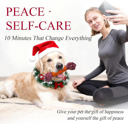 Apasiri Dog Toys for Aggressive Chewers Peanut Butter Flavored: 4-Pack Dog Bones for Large Dogs, 8" Chew Toys Long-Lasting, Tough Nylon & Rubber Dogs Toys