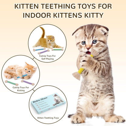 Retro Shaw Cat Toys Ropes with Catnip 6Pcs, Safe Teething Cleaning Kitten Toys for Indoor Cats Kitty, Interactive Cat Nip Chew Toys Kicker