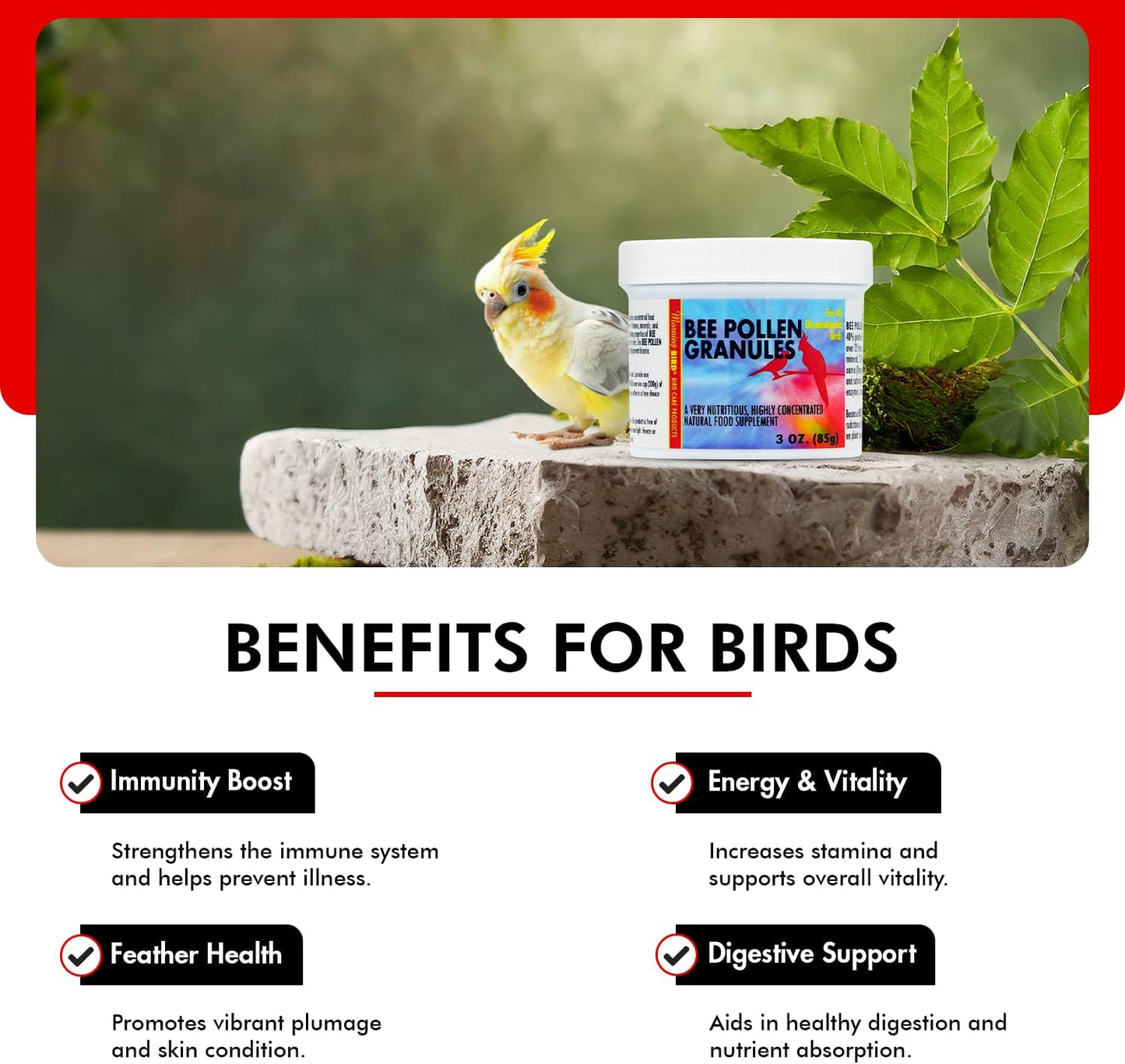 Morning Bird Bee Pollen Granules 3 Oz – Naturally Immune Support & Protein Powder for Birds – Boosts Strength, Feather Health & Energy Supplements – Easy to Mix with Food for All Bird Types