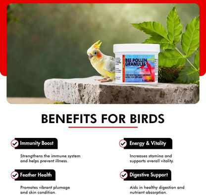 Morning Bird Bee Pollen Granules 3 Oz – Naturally Immune Support & Protein Powder for Birds – Boosts Strength, Feather Health & Energy Supplements – Easy to Mix with Food for All Bird Types