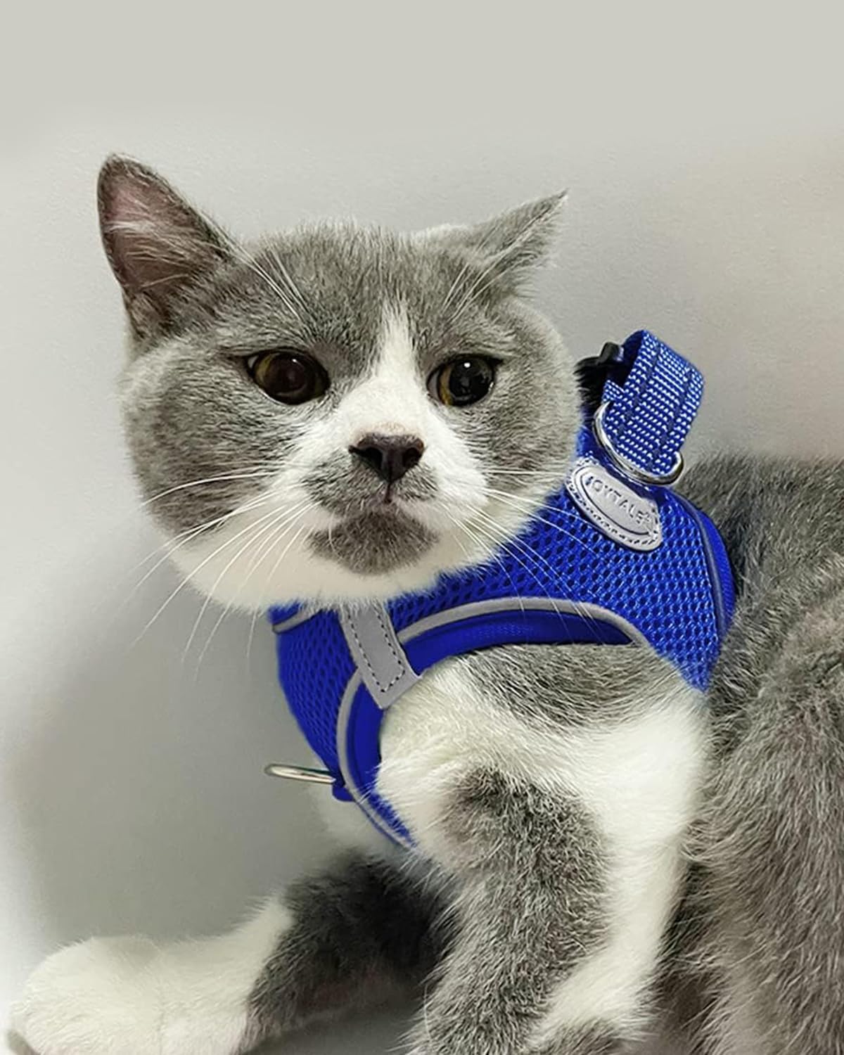 Joytale Small Dog Harness, Breathable Mesh Step-in Vest, Reflective Soft Padded Harnesses for Cats and Puppies Dogs, Navy Blue, XXXS