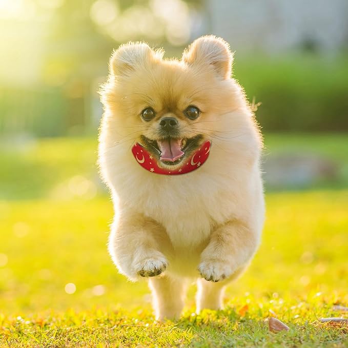 Gold Sun Moon Red Dog Collar Soft Pet Collars for Small Medium Large Breed Dogs Cats Puppy Kitten Terrier
