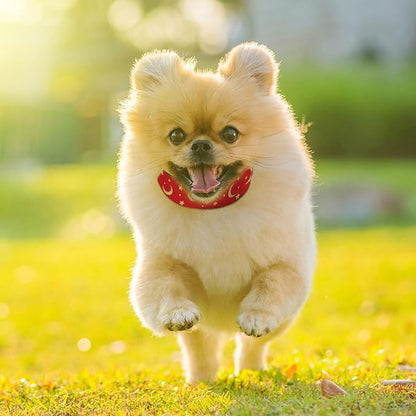 Gold Sun Moon Red Dog Collar Soft Pet Collars for Small Medium Large Breed Dogs Cats Puppy Kitten Terrier