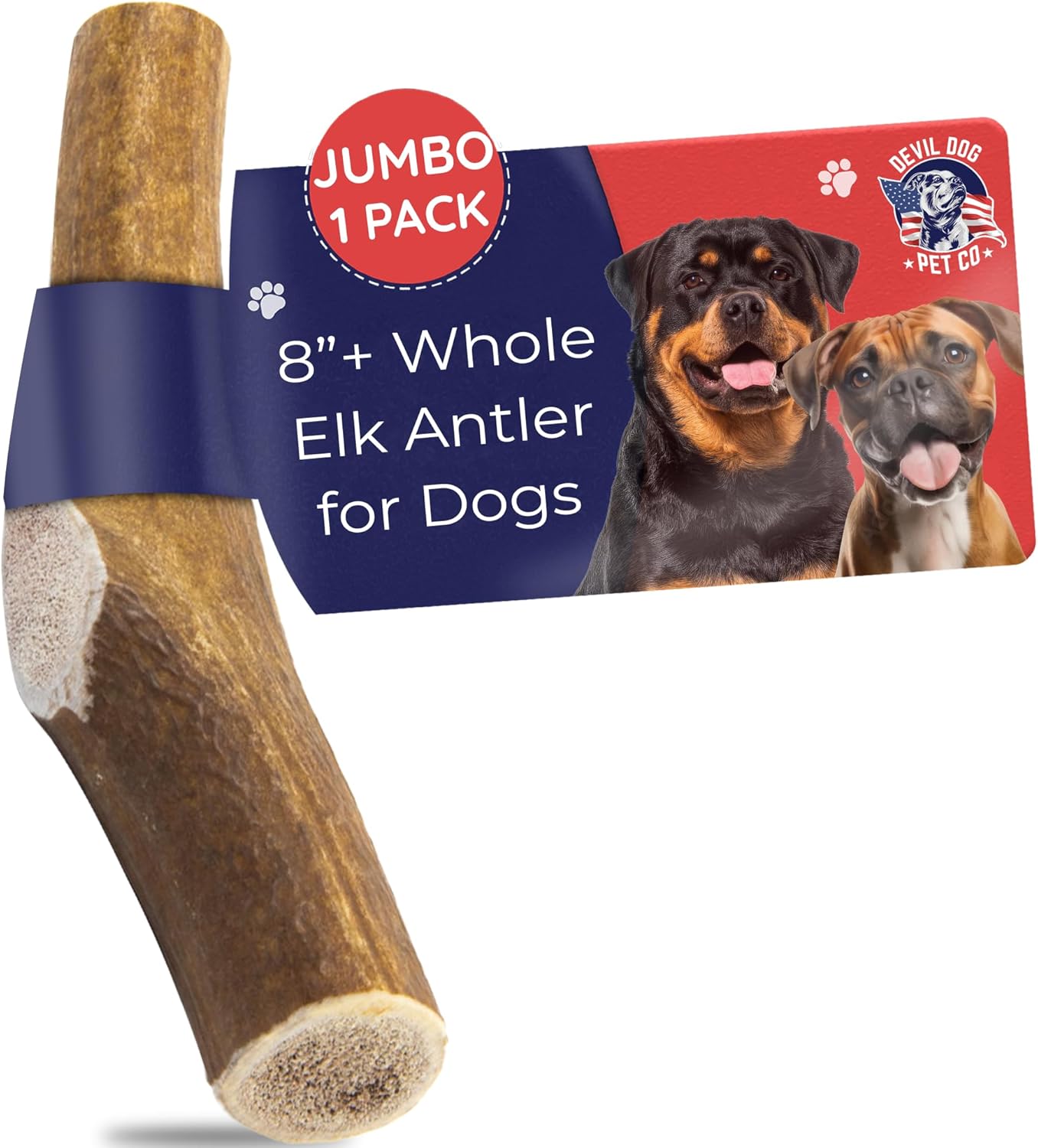 Devil Dog Pet Co. Elk Antlers for Dogs, Jumbo 8"+, 1 Pack, Grade A Long Lasting Chew for Aggressive Chewers, Premium USA Naturally Shed Antler – Healthy, No Odor, Durable Dog Chew