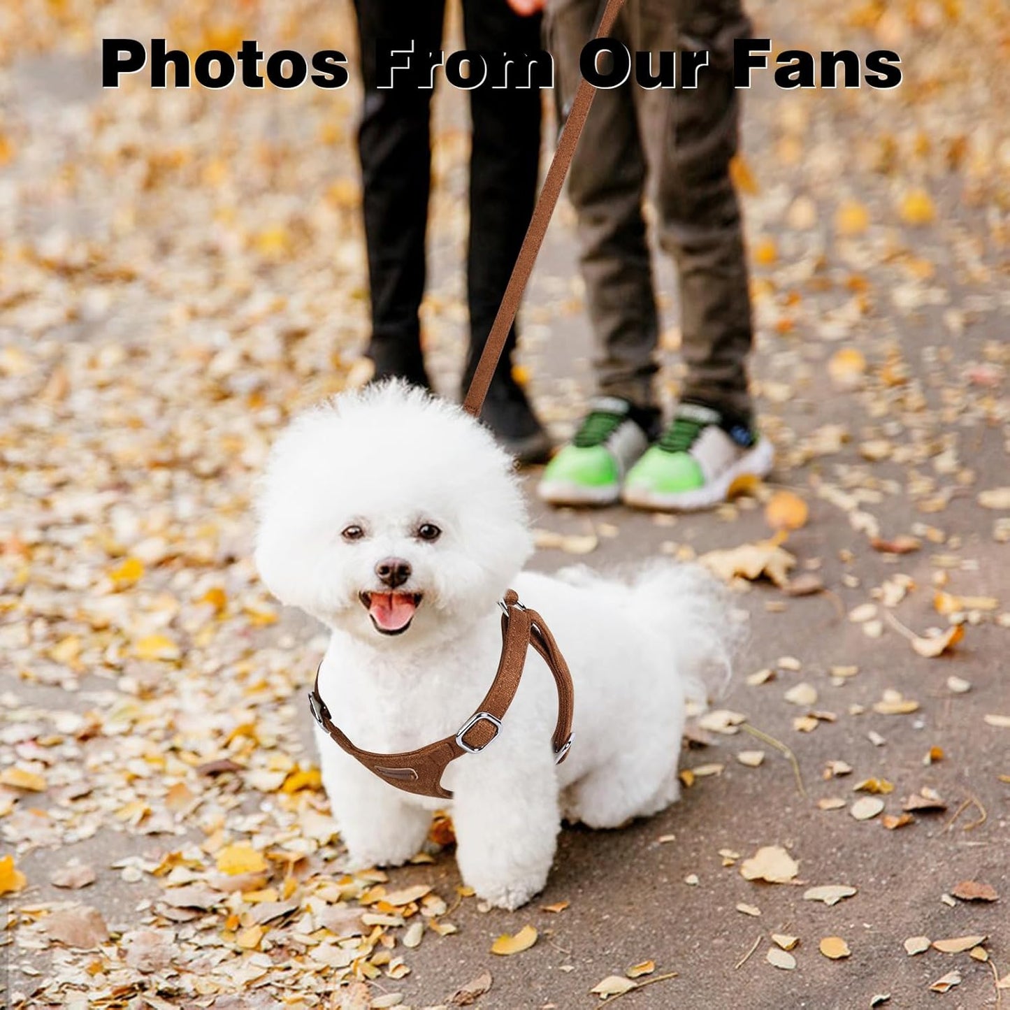 Dog Harness and Leash Set, XXS No Pull Adjustable Puppy Harness with Multifunction Pink Dog Leash and Dog Collar, Soft No Choke Escape Proof Pet Harness Vest for Small Dogs and Cats (Brown, XXS)