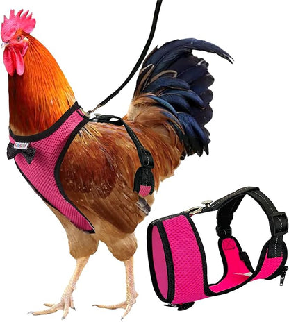 Adjustable Chicken Harness Diaper (5.4ft Leash) – Breathable & Washable Secure Training for Hens, Ducks & Chicks | Outdoor Walking & Discipline Solution Pink