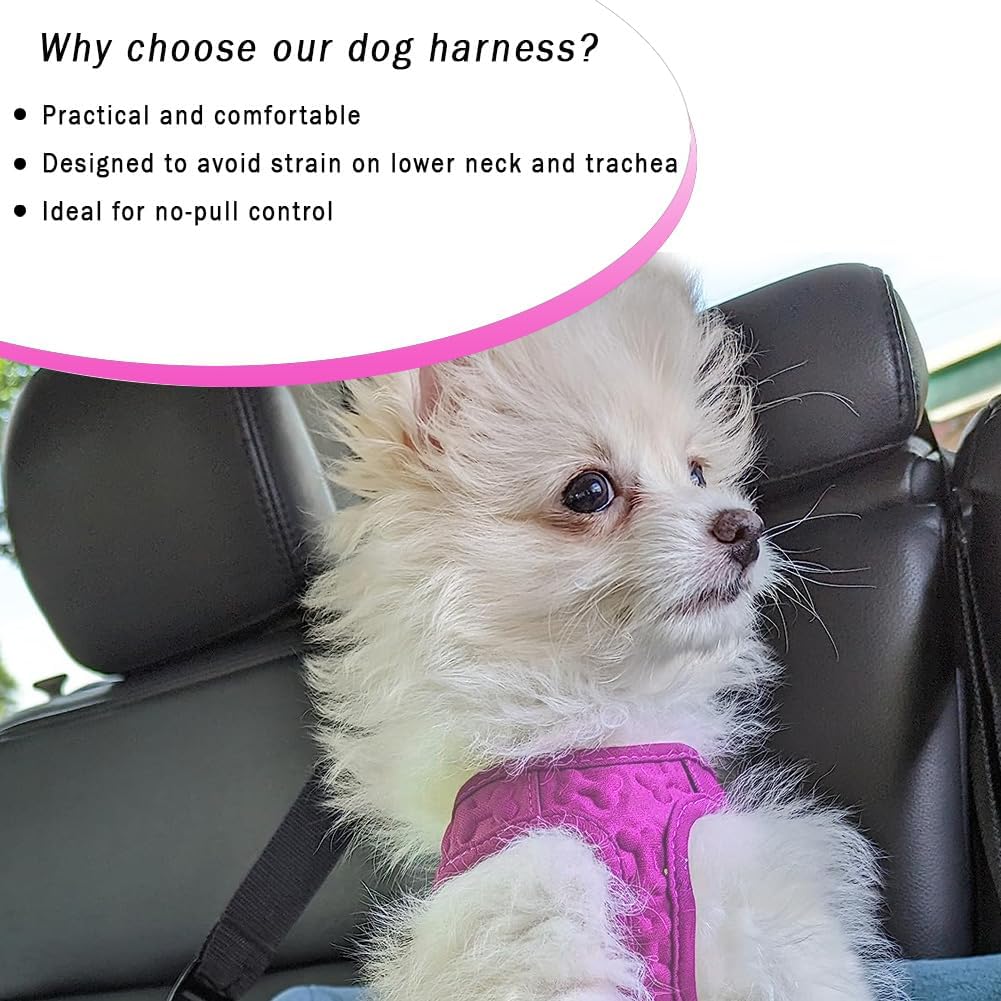 Comfort fit Step-in Dog & Puppy Harness - Comfortable All Weather Dog Vest Harness: Adjustable, Soft Padded, Easy to Put-on for Small, Medium-Sized Dogs.