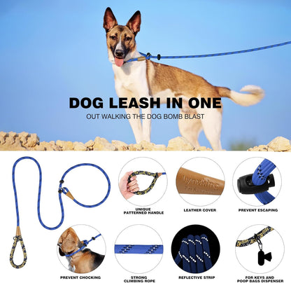 lynxking Slip Lead Dog Leash Reflective, Heavy Duty Comfortable Strong Rope for Large Medium Small Dogs No Pull Pet Training (Blue, 2PCS Large 1/2in x 6ft)