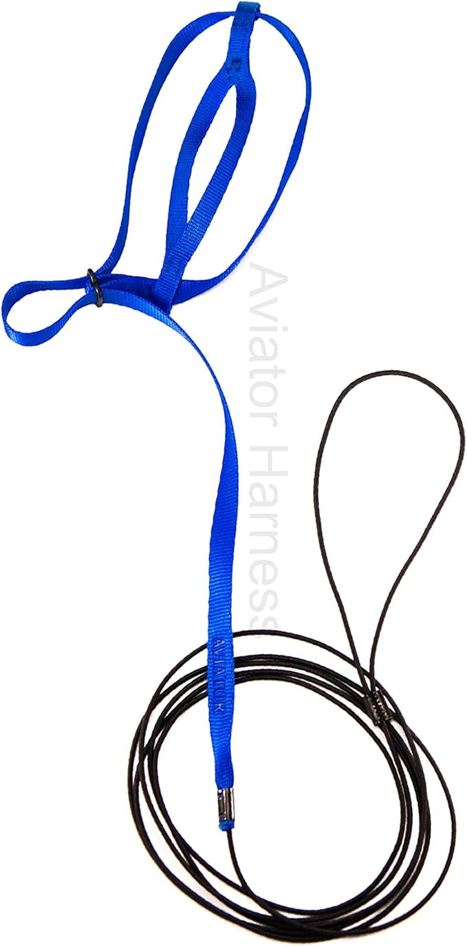 The AVIATOR Pet Bird Harness and Leash: X-Small Blue