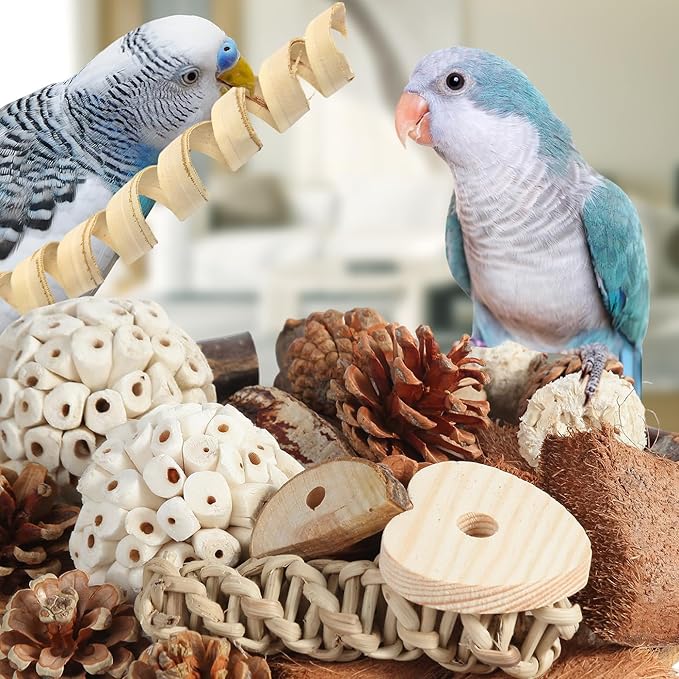 Kyouki Bird Toys Parrot Natural Bird Foraging Box Foot Toys for Parakeets,Cockatiels,Conures,Love Birds,and Other Small to Medium Birds (Large)