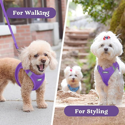 rabbitgoo Small Dog Harness, Step-in Soft Mesh Puppy Vest with Safety Buckle, Breathable Reflective Pet Harness for Large Dogs, Purple XXL