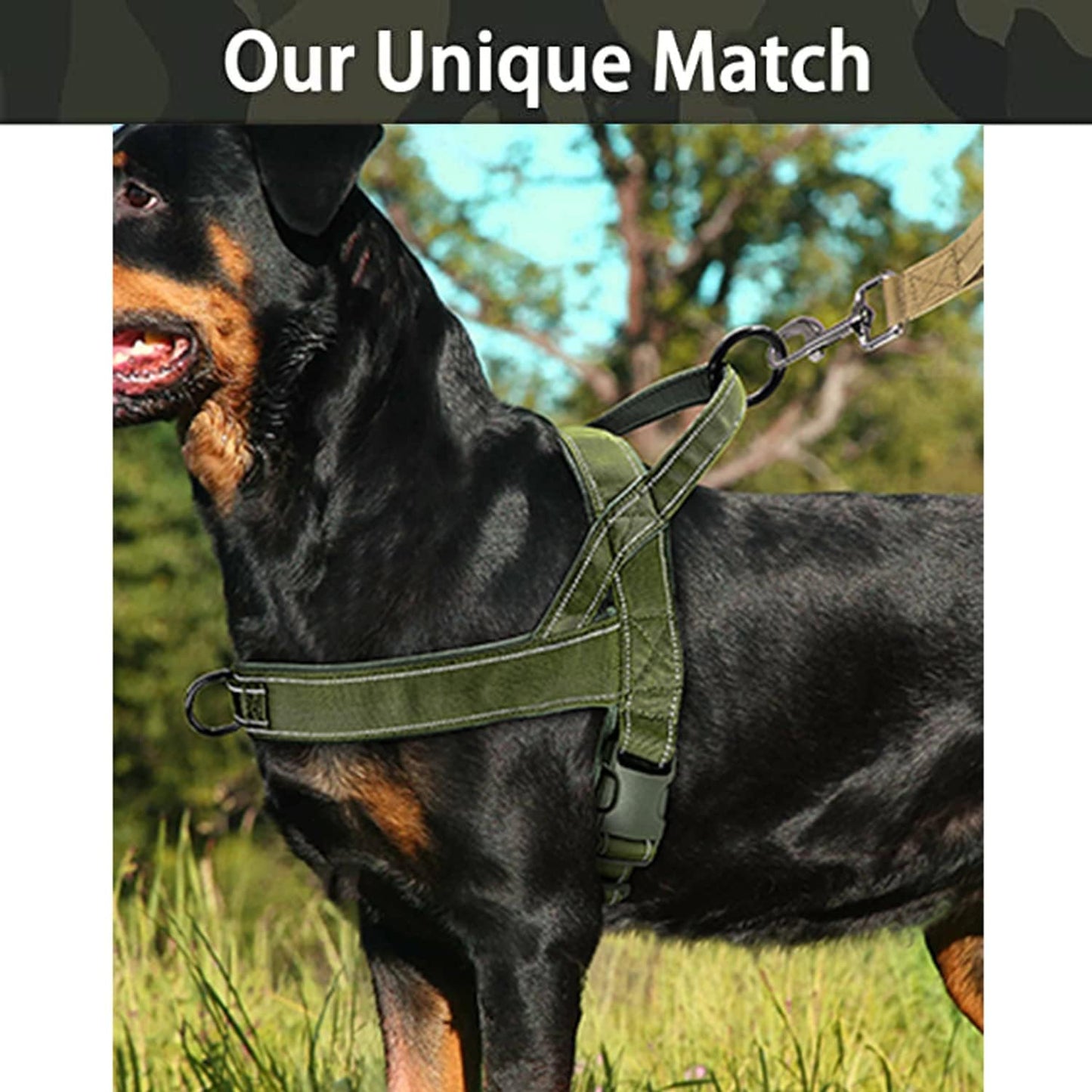 Green No Pull Dog Harness for Small Medium Large Sized Dog, Reflective Escape Proof Adjustable Dog Harnesses with 2 Patch, S