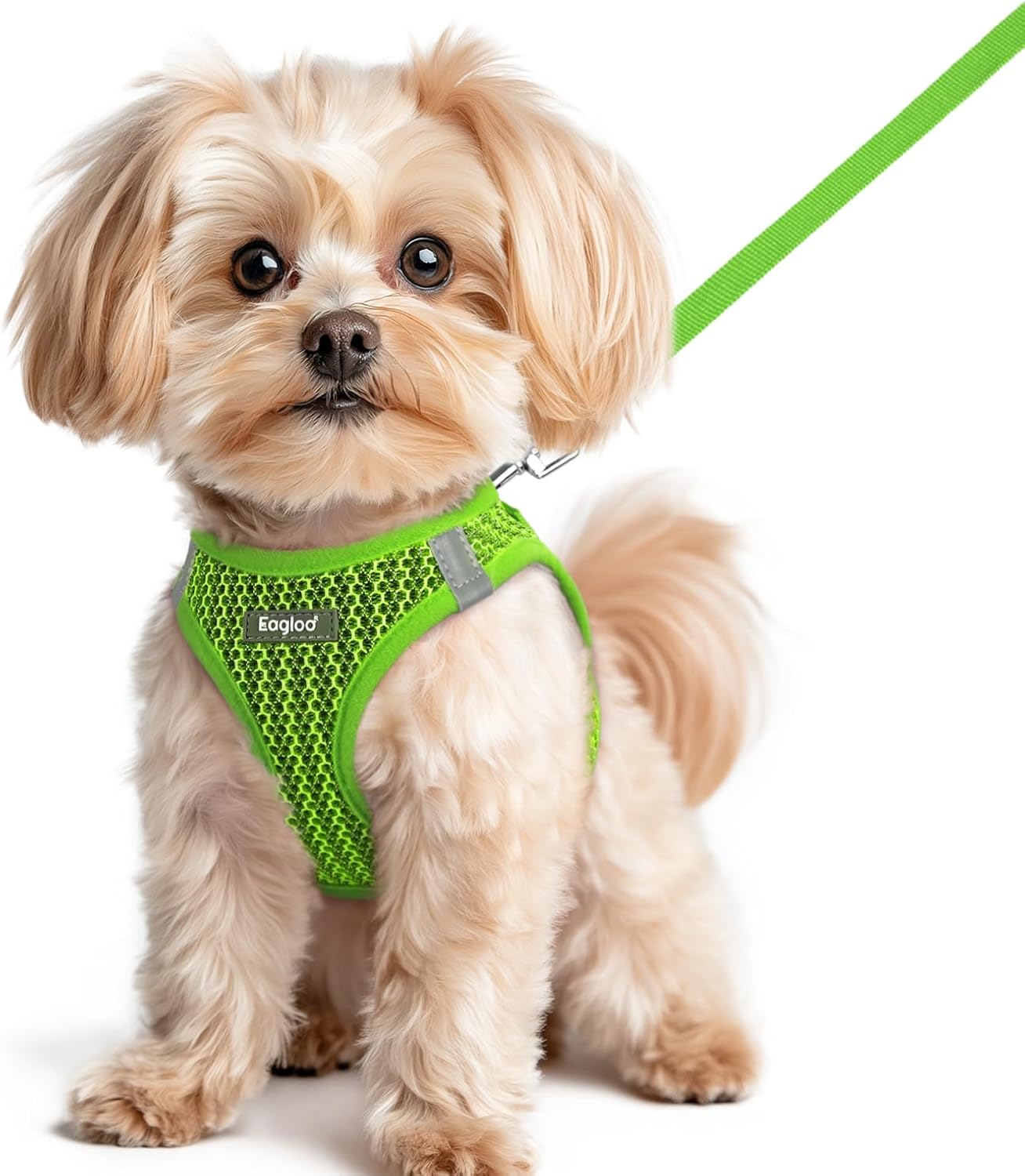 Eagloo Small Dog Harness and Leash Set, Step in Puppy Vest with Breathable Soft Mesh, Walking Reflective Pet Harness for Small Dogs, Green, XS