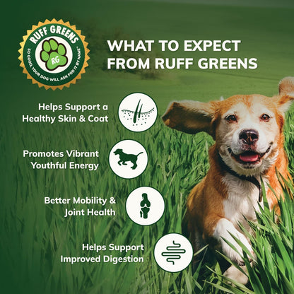 Ruff Greens - Dog Food Topper, Hip & Joint Supplement for Dogs - Probiotics Digestive Enzymes Powder for Mobility Support, Essential Vitamins & Minerals, 6.9 Ounce