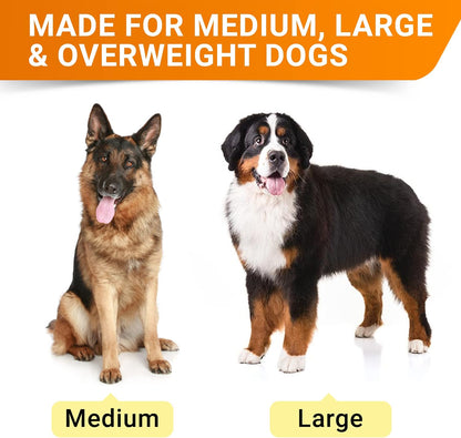 Senior Advanced Glucosamine Chondroitin Joint Supplement for Dogs - Hip & Joint Pain Relief Pills - Large & Small Breed - Hip Joint Chews Canine Joint Health - Chews Older Dogs - Bacon Flavor - 360Ct