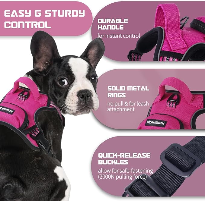 BUMBIN Dog Harness for Large Dogs, No Pull Adjustable No Choke Pet Vest with Dog Leash Fit Smart Reflective Pet Walking Harness for Training Easy Control Soft Handle Rose Red L