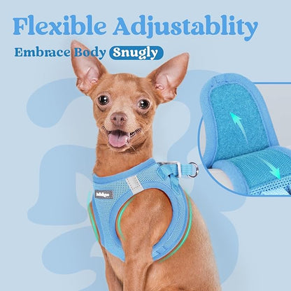 rabbitgoo Small Dog Harness, Step-in Soft Mesh Puppy Vest with Safety Buckle, Breathable Reflective Pet Harness for Small Sized Dogs, Blue XS