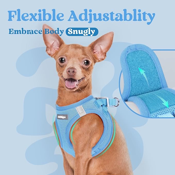 rabbitgoo Small Dog Harness, Step-in Soft Mesh Puppy Vest with Safety Buckle, Breathable Reflective Pet Harness for Large Dogs, Blue XXL