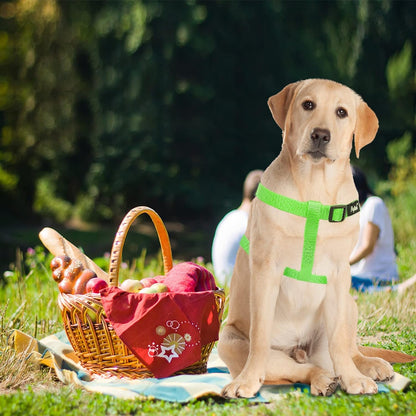 PUPTECK No Pull Dog Harness Soft Adjustable Basic Nylon Step in Puppy Vest Outdoor Walking with ID Tag, Green, M