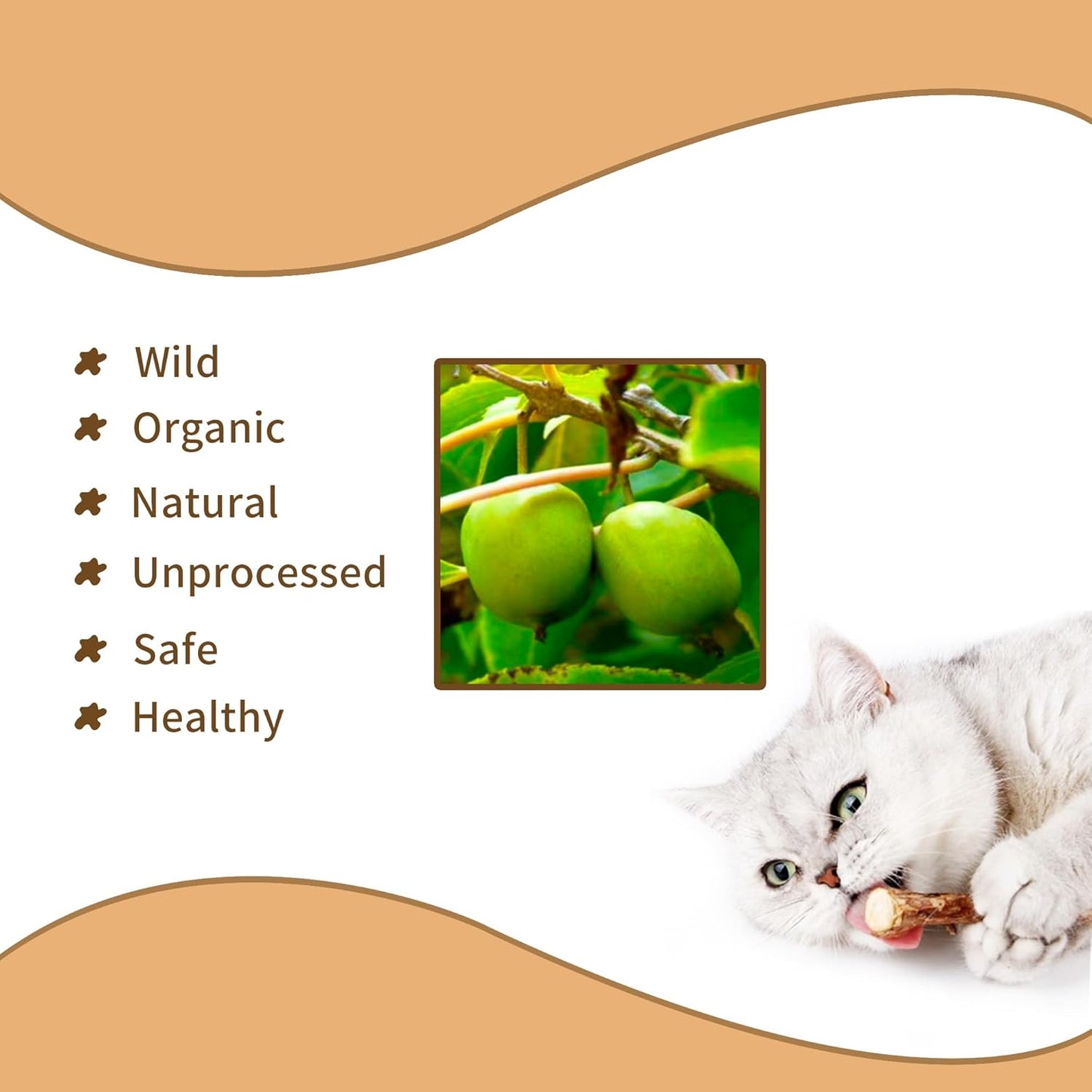 [ 15pcs Silvervine Sticks for Cats, Matatabi Cat Chew Sticks, Catnip Toys, Wooden Dental Sticks for Indoor Cats, Kitty, Kitten Teething Interactive Wand Toys