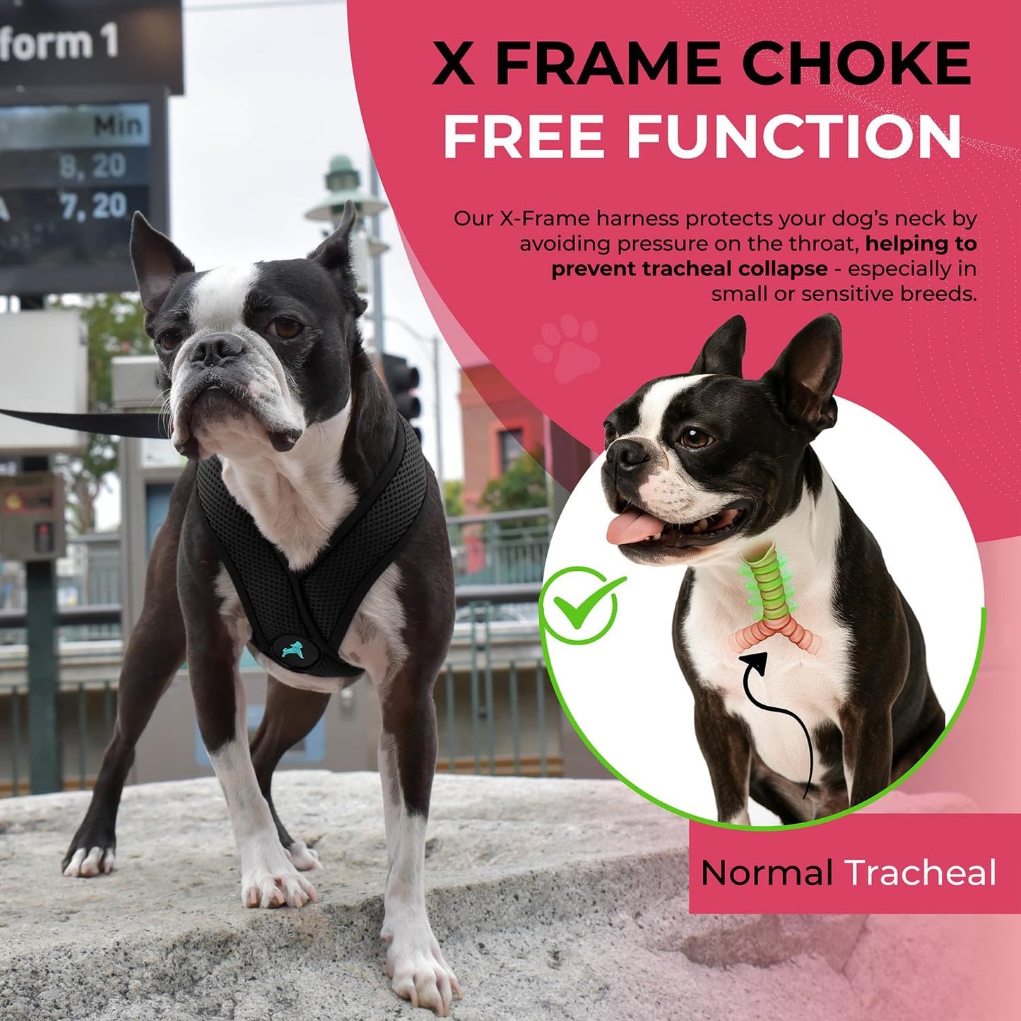 Gooby Comfort X Head In Harness - Black, Large - No Pull Small Dog Harness, Patented Choke-Free X Frame - Perfect on the Go Dog Harness for Medium Dogs No Pull or Small Dogs for Indoor and Outdoor Use