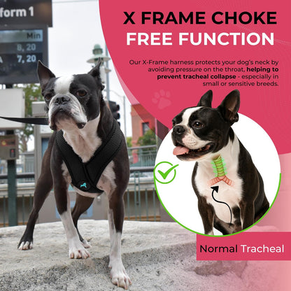 Gooby Comfort X Head In Harness - Black, Large - No Pull Small Dog Harness, Patented Choke-Free X Frame - Perfect on the Go Dog Harness for Medium Dogs No Pull or Small Dogs for Indoor and Outdoor Use