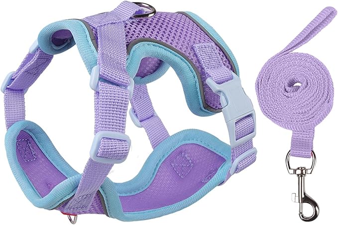 Cat Harness and Leash Set for Walking – Escape-Proof Reflective Vest for Cats and Small Dogs, Adjustable Soft Air Mesh with Pressure-Reducing Design, 4.92ft (Blue & Purple, XL)
