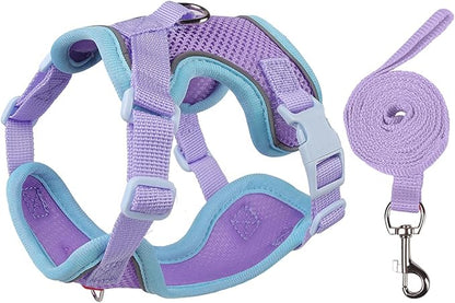 Cat Harness and Leash Set for Walking – Escape-Proof Reflective Vest for Cats and Small Dogs, Adjustable Soft Air Mesh with Pressure-Reducing Design, 4.92ft (Blue & Purple, XL)