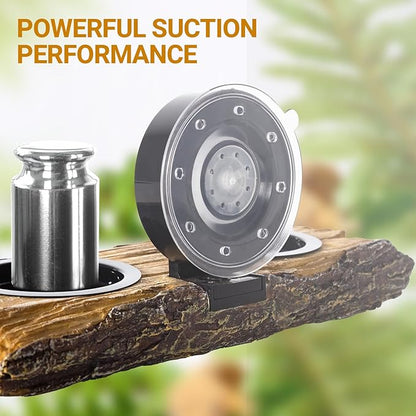 2 in 1 Reptile Feeding Ledge & Turtle Basking Platform, Resin Suction Cup Feeder with 4PCS Cups, Terrarium Water Bowl Food Dish - Tank Accessories for Crested Gecko Lizards & Aquatic Turtles