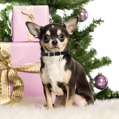 Gold Puppy Collar with Bell, Soft Pu Leather Cat Collars Adjustable Buckle for XXS XS Extra Small Medium Tiny Female Male Boys Girls Pets Dogs Kitten Teacup Yorkie S