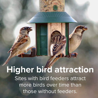 Blue Seal Concerto Wild Bird Seed | Premium High-Energy Blend | No Fillers, Corn-Free | Attracts a Wide Variety of Wild Outside Birds | Convenient Shell-Free Mix | Made in USA | 20 Pound Bag