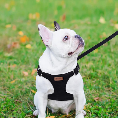 Dog Harness and Leash Set, XXS No Pull Adjustable Puppy Harness with Multifunction Pink Dog Leash and Dog Collar, Soft No Choke Escape Proof Pet Harness Vest for Small Dogs and Cats (Black, XS)