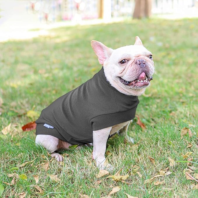 Small Dogs Fleece Dog Sweatshirt - Cold Weather Hoodies Spring Soft Vest Thickening Warm Cat Sweater Puppy Clothes Sweater Winter Sweatshirt Pet Pajamas for Small Dog Cat Puppy (Small, Dark Grey)