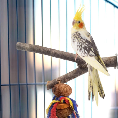 kathson Natural Bird Perches for Cage,Wooden Parrot Stand Branch with Chewing Nuts Toys Exercising Standing Parakeet Cage Accessories for Conures Budgies Finches Cockatiels Lovebird (2 PCS)