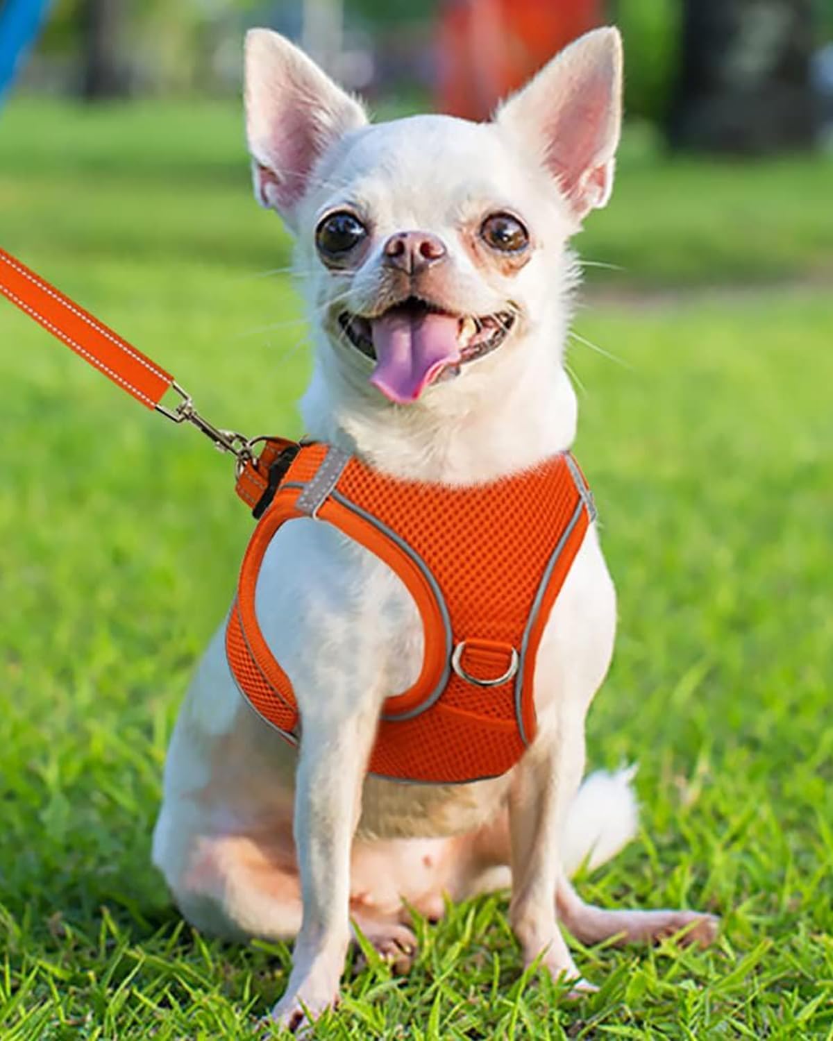 Joytale Small Dog Harness, Breathable Mesh Step-in Vest, Reflective Soft Padded Harnesses for Puppies and Extra Small Dogs, Orange, XS