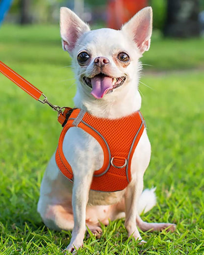 Joytale Small Dog Harness, Breathable Mesh Step-in Vest, Reflective Soft Padded Harnesses for Puppies and Extra Small Dogs, Orange, XS