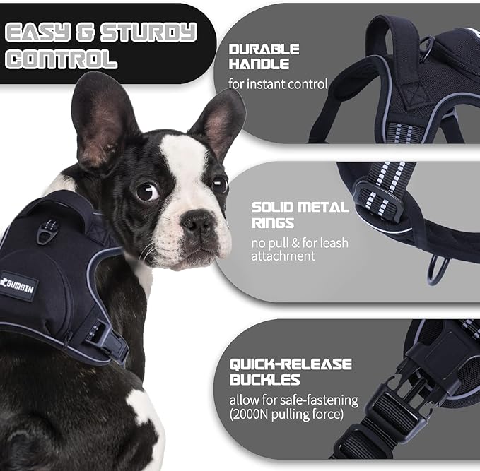 No Pull Dog Harness for Medium Dogs, Adjustable No Choke Pet Vest with Dog Leash Fit Smart Reflective Pet Walking Harness for Training Easy Control Soft Handle Black M