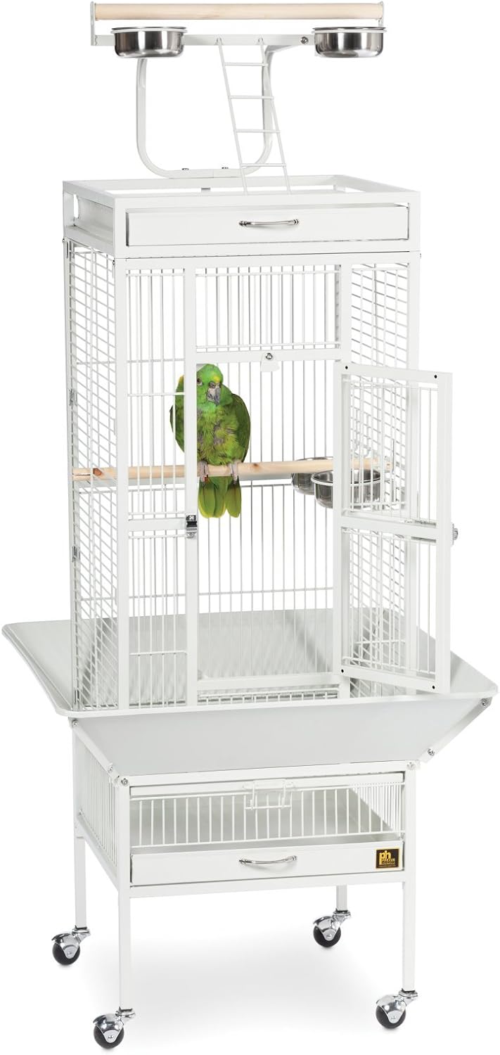 Prevue Pet Products Wrought Iron Select Bird Cage Black Hammertone 3151BLK, 18'' x 18'' x 57''